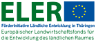 Logo: Europäischer Landwirtschaftsfonds für die Entwicklung des ländlichen Raums